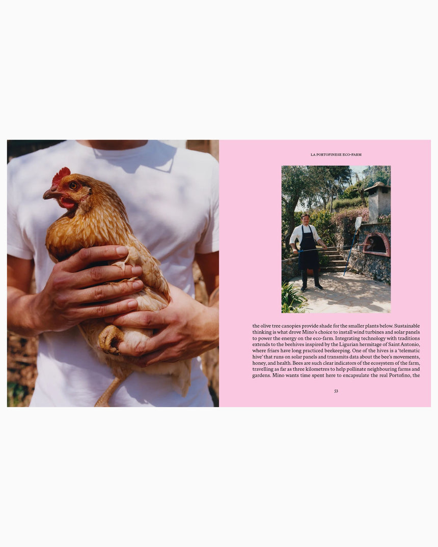 Liguria: Recipes & Wanderings Alon