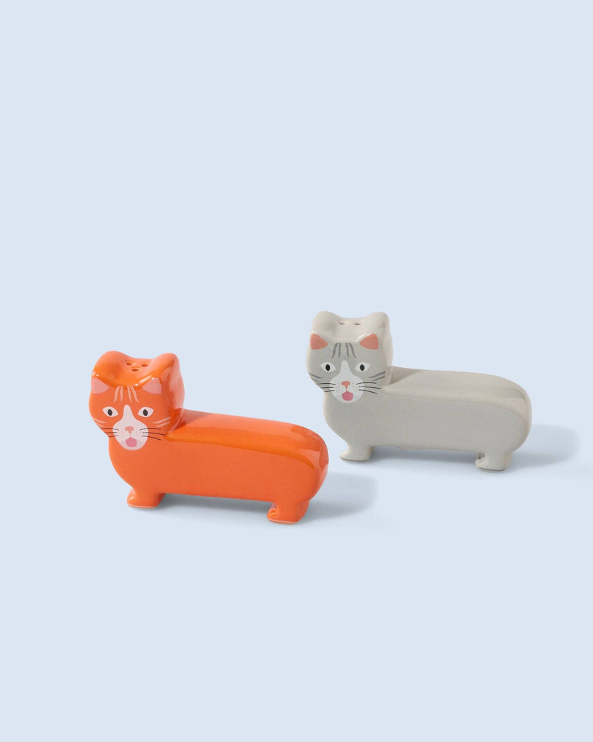 Salt and Pepper Cat