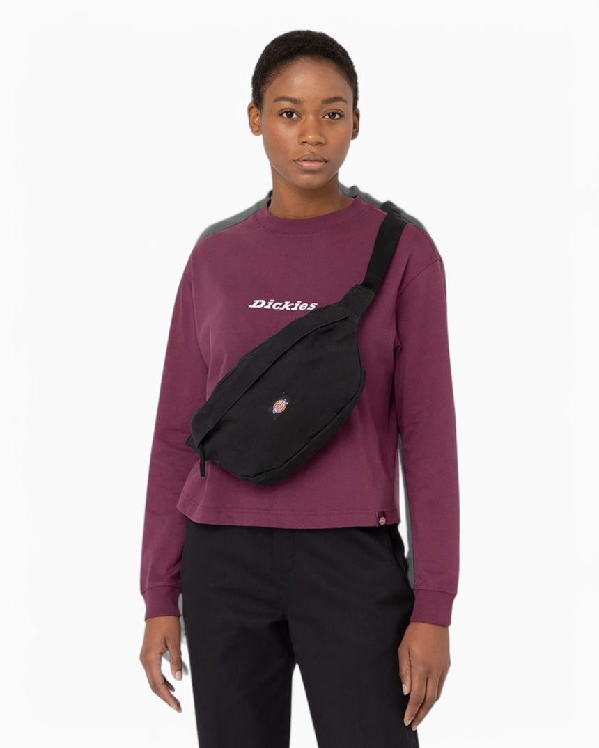 Ducks Canvas Crossbody