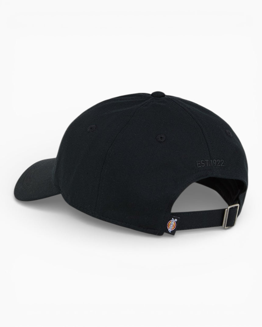 Essential Dad Cap
