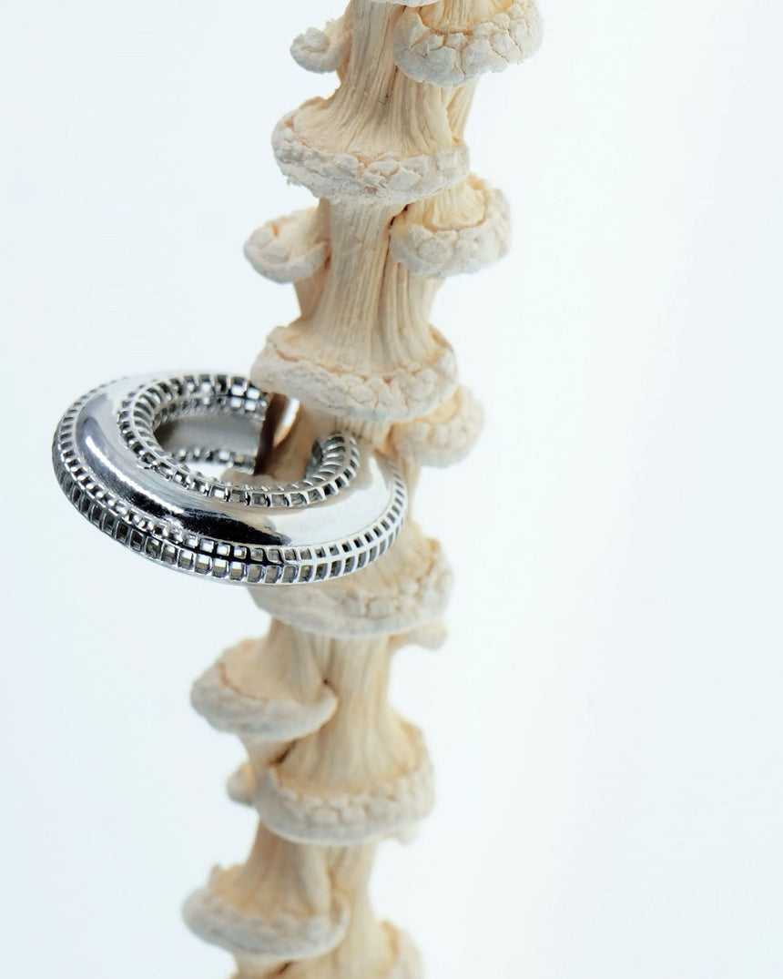 PACAL Eclipse Kıkırdak Küpesi