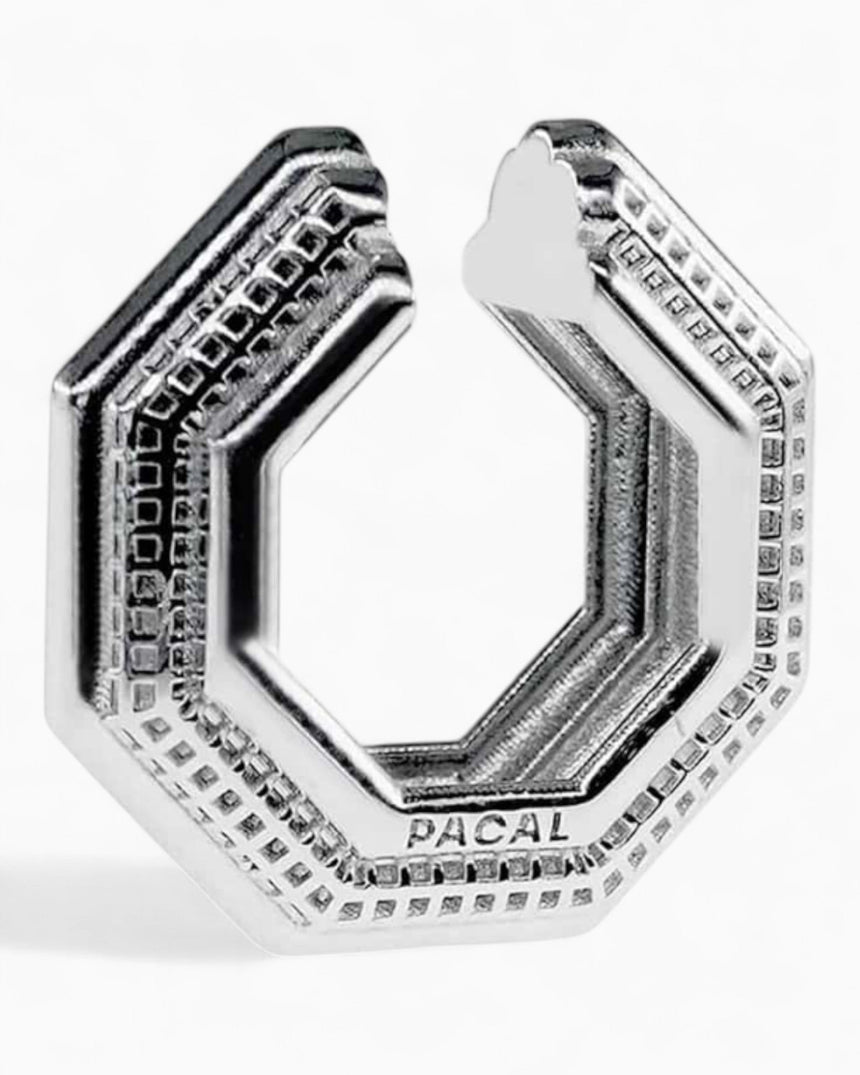 PACAL Octa Kıkırdak Küpesi