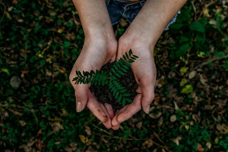 World Environment Day: 50 Years of Climate Action