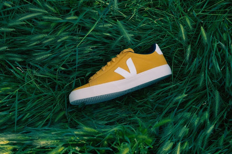 Why is Veja So Popular?