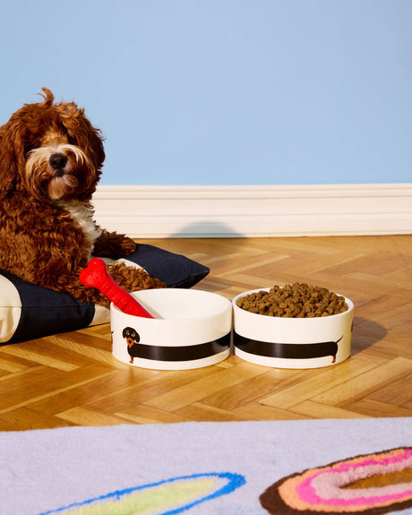 Dachshund Bowl