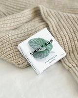 vitruta Simply Gum Wintergreen aromalı, plastik içermeyen, doğal bitkisel içerikli 15 adetlik sakız paketi