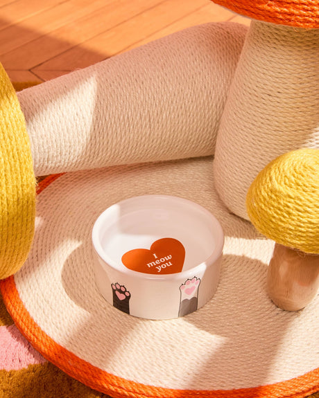 Cat Bowl