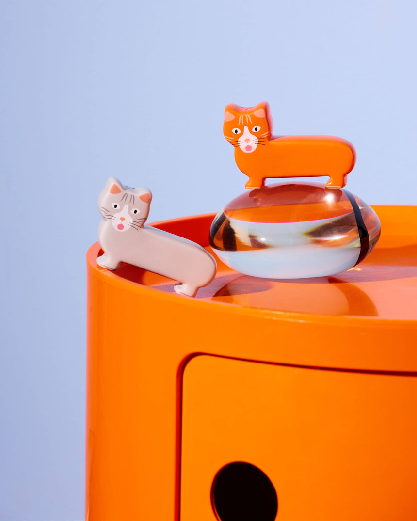 Salt and Pepper Cat