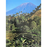 Balinese Gardens