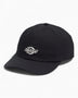 Essential Dad Cap