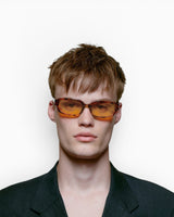 Will Sunglasses