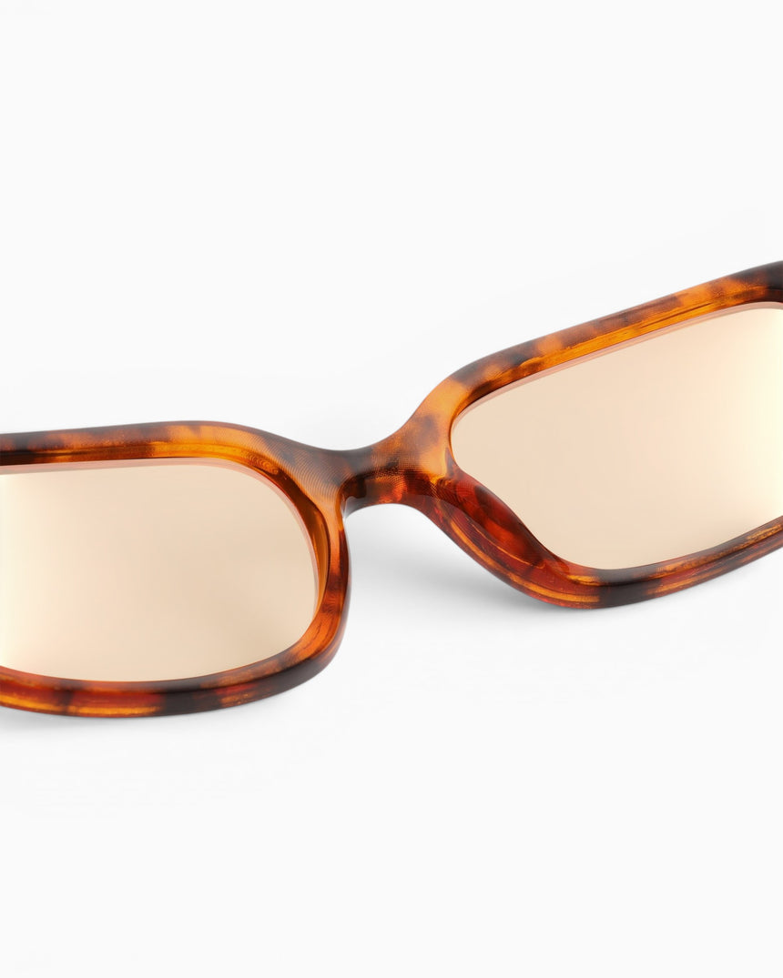 Will Sunglasses