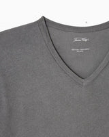 Devon Men's V-Neck T-Shirt
