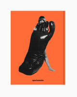 Nicola L.: Life and Art