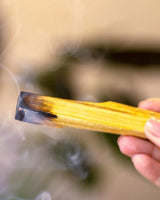 Chappal Palo Santo 25 Gr