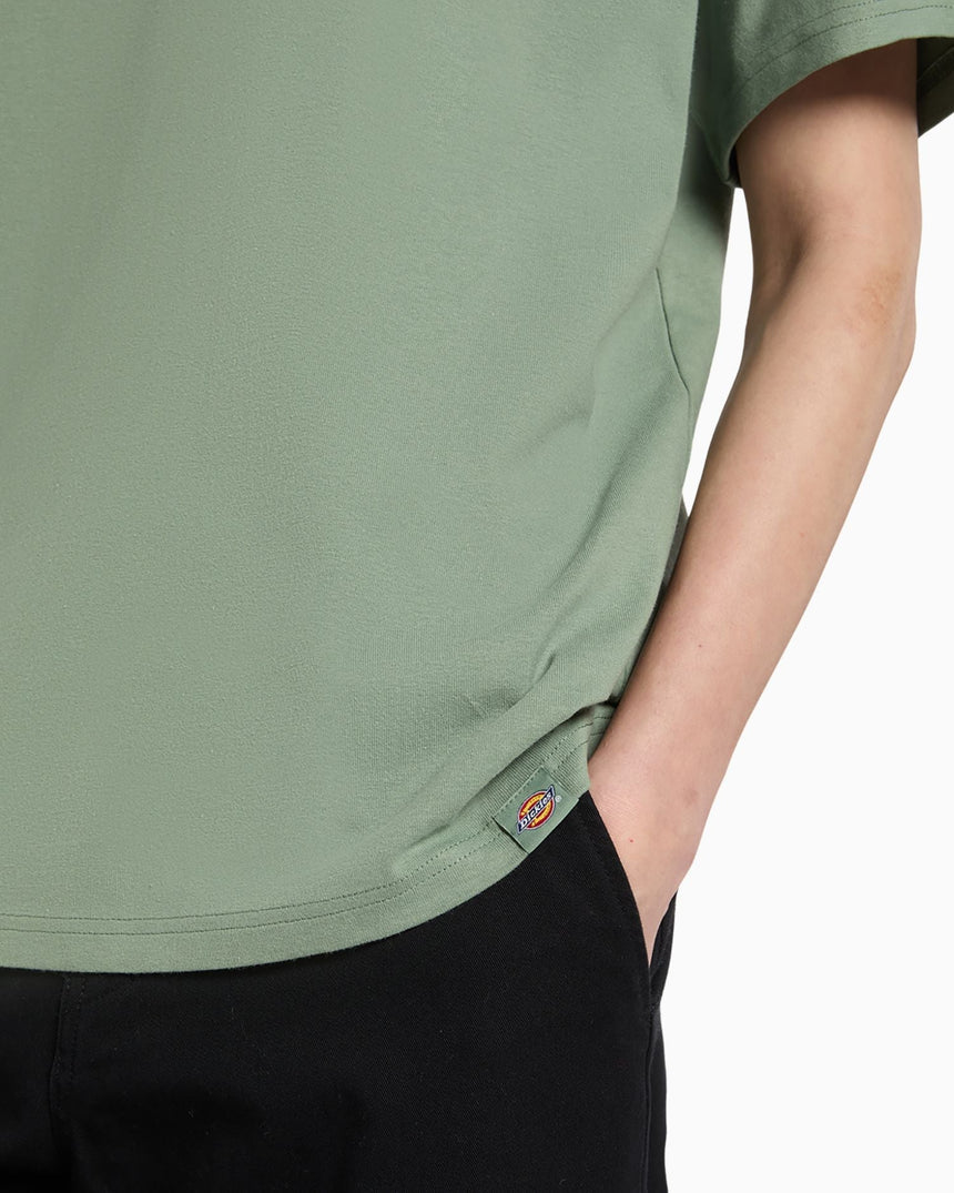 Dickies Laryville Erkek T-Shirt Sea Spray