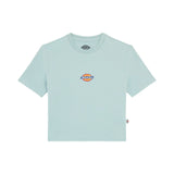 Dickies Maple Valley Kadın T-Shirt 