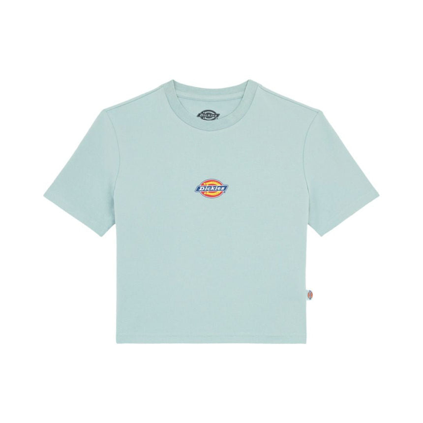 Dickies Maple Valley Kadın T-Shirt 