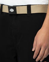 Orcutt Webbing Belt