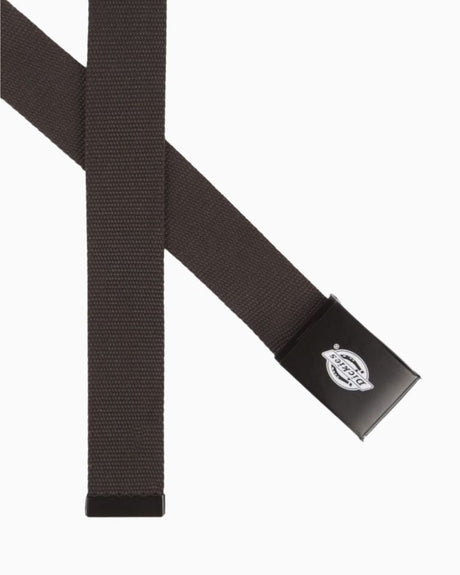 Dickies Orcutt Webbing Kemer