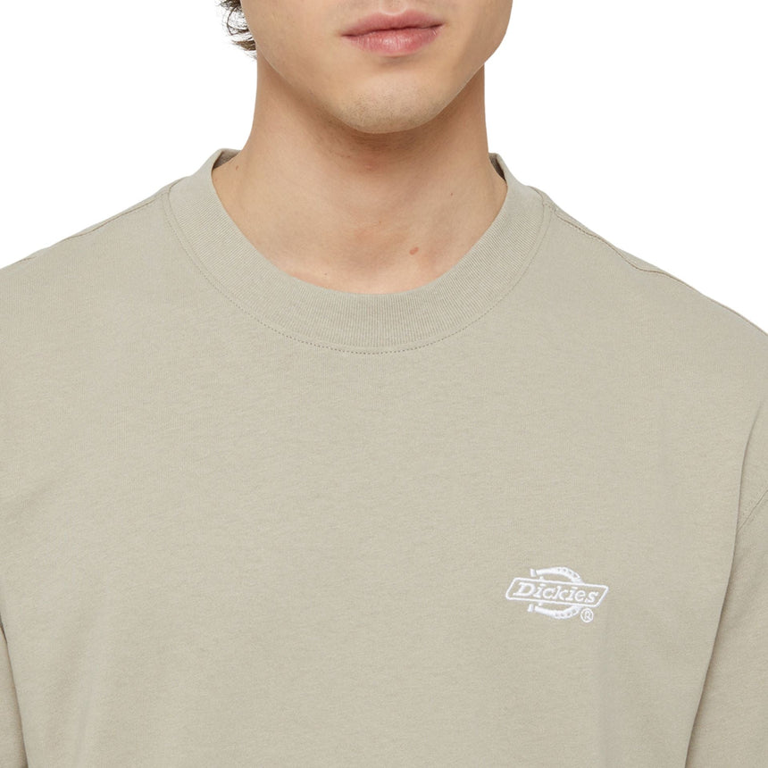 Dickies Summerdale Erkek T-Shirt 