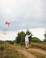 Flint Painter Men's Shorts