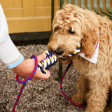 HAY Design Dogs Leash Braided 