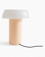 PC Portable Lamp