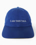 I Am This Tall Hat