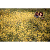 Paul Misso In The Vale of Avalon: Glastonbury Festival 1971