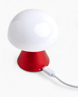 Mina LED Lamp