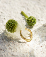 Semita Cartilage Earrings