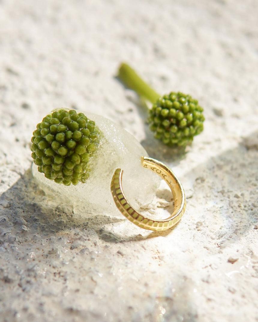 Semita Cartilage Earrings