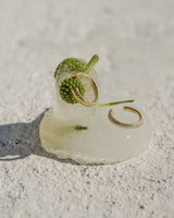 Semita Cartilage Earrings