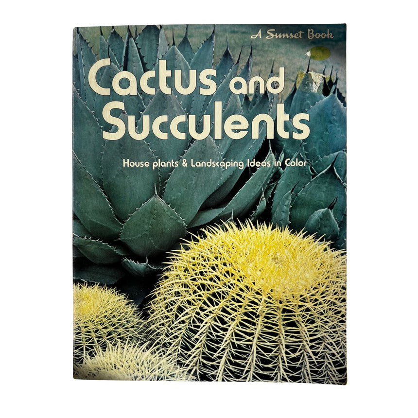 Cactus and Succulents