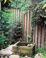 1000 Garden Ideas