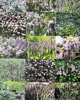 1000 Garden Ideas