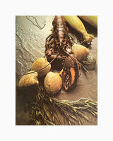 American Cooking: New England
