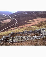 Andy Goldsworthy: Enclosure