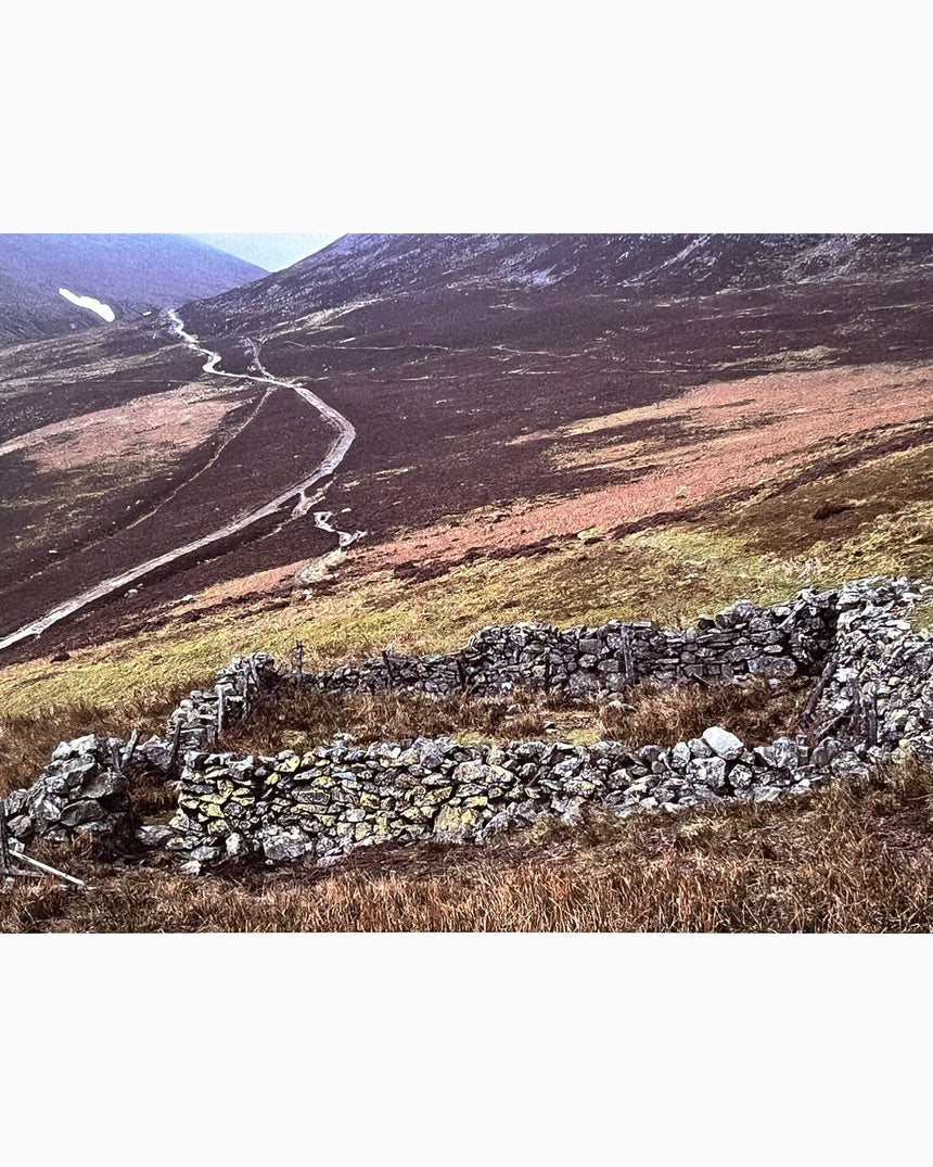 Andy Goldsworthy: Enclosure