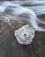 Andy Goldsworthy: Enclosure
