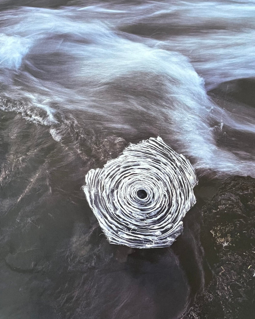 Andy Goldsworthy: Enclosure