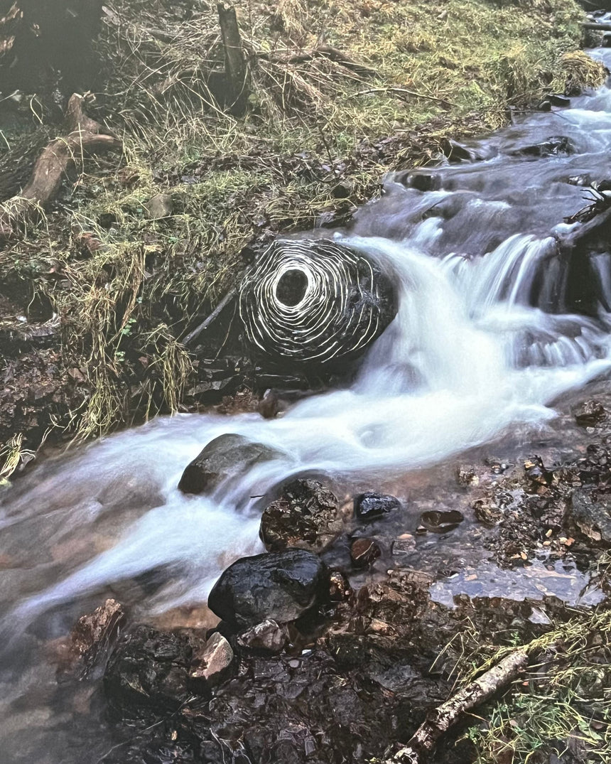 Andy Goldsworthy: Enclosure
