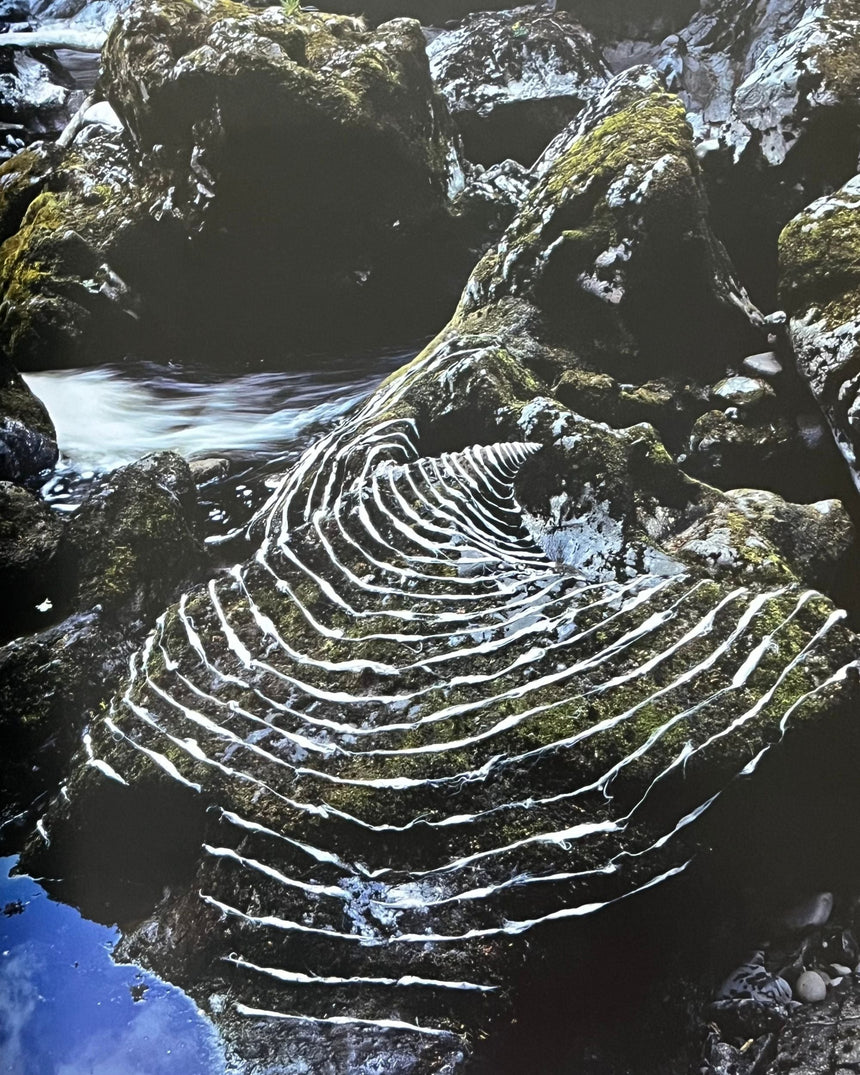 Andy Goldsworthy: Enclosure