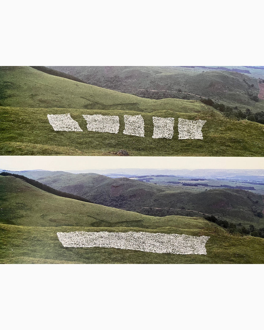 Andy Goldsworthy: Enclosure