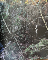 Andy Goldsworthy: Enclosure