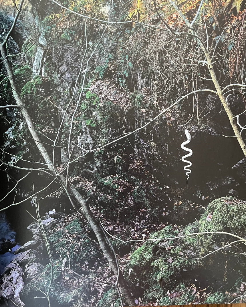 Andy Goldsworthy: Enclosure