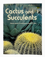 Cactus and Succulents