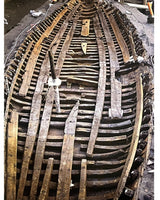 Campania: arti e Cultura / Art and Culture