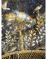 Campania: arti e Cultura / Art and Culture